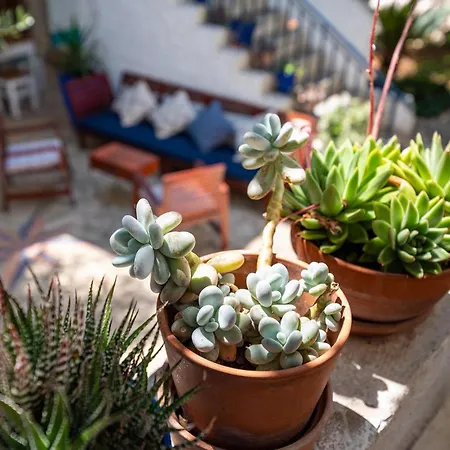 La Maison Adriatique Ferienhaus Zadar